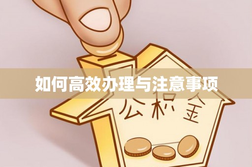 洋县如何高效办理与注意事项