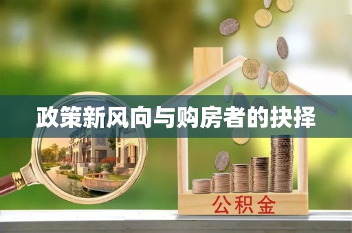 洋县政策新风向与购房者的抉择