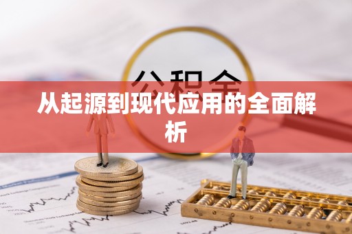 洋县从起源到现代应用的全面解析