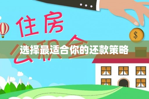 洋县选择最适合你的还款策略