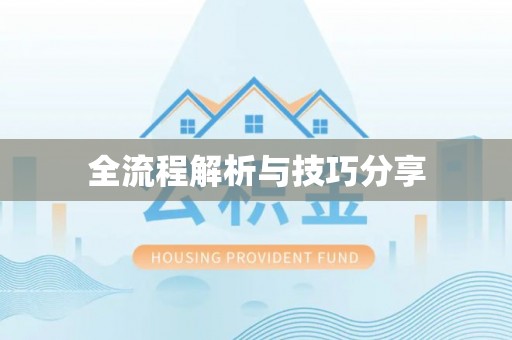 洋县全流程解析与技巧分享