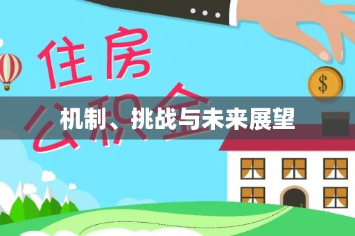 洋县机制、挑战与未来展望