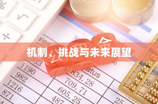 洋县机制、挑战与未来展望